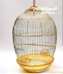  4 Golden Parrot cage