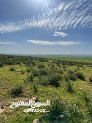  1 ارض للبيع حوض الجبيل وارض حوض ام الابار جنوب شارع الصوامع وقرب مدارس الجسور متوفر اكثر من قطعة