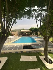  21 SanaFarm Oneمزرعه للايجار قرب جامعه    فيلادلفيا بجرش.. الرجاء التواصل عن طريق الواتساب