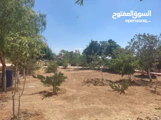  7 مادبا حواره مزرعه للبيع