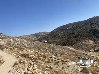  5 قطعة ارض دونم اول ديربزيع بسعر حررق للبيع