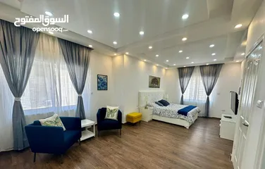  20 furnished apartment with very luxuriou furniture 4 rent in an area that has never been inhabite