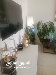  3 للبيع – شقة طابو مفرزة في شارع حيفا / مقابل منتزه جمال عبد الناصر – نابلس