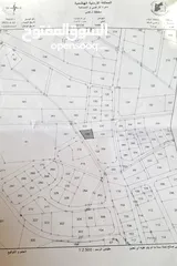  3 نمرة 800 متر مميزة