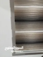 9 ستارة زيبرا للبيع