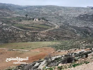  2 ارض للبيع مقابل بلدية حسبان/ناعور على هضبة مطلة على فلسطين 1660m ومن المالك مباشرة