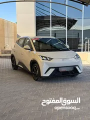  30 بالتقسيط من راسي لراسك byd سيجال 405