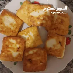  18 جبنة غنم مغلية بالمستكه والمحلب والقزحه