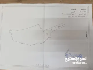  2 قطعه ارض للبيع / بلعا - طولكرم