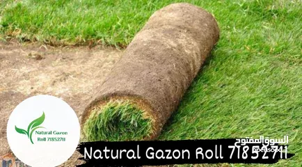  14 Natural gazon roll