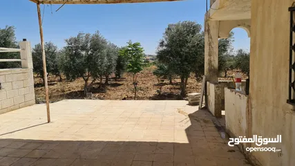  14 ارض مميزه للبيع