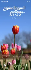  1 مطلوب فرس عربي او عرق