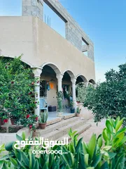  6 ابونعيم عمر
