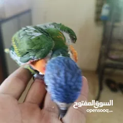  2 ماشاء الله لا قوة إلا بالله