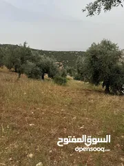  4 ارض زراعية للبيع