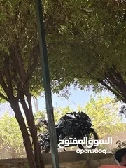  12 للبيع جكسر 250