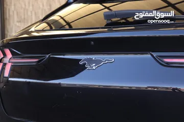  13 Ford Mustang Mach e 2021 premium
