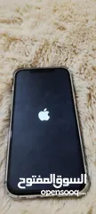  12 iPhone 12 pro max