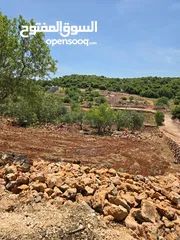  8 مزرعه 2 دونم مزروعه موقع مميز جدا  من مالك مباشر