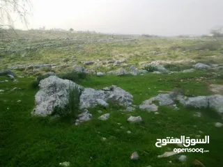 8 1000 متر مربع في اكتابا للبيع