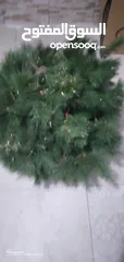  3 شجره كريسماس حاله ممتاذه