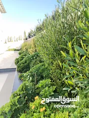  2 مزروعة مميزة محاذية للحرش مرتفعة وكاشفة