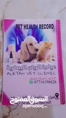  5 جيرمن الصوره مواصفات