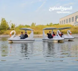  5 Pedal Swan Boat