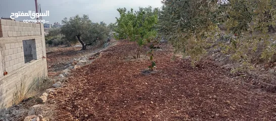  3 قطعة ارض مع بيت عظم للبيع