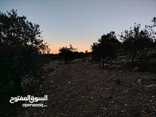  17 ارض للبيع 4300م على القوشان وعلى الواقع 12دونم متواجد بيت مساحة 380 متر طابقين +خزان يتسع50 متر