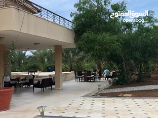  2 مزرعة في الشونة الجنوبية / غور نمرين - ref: 12165