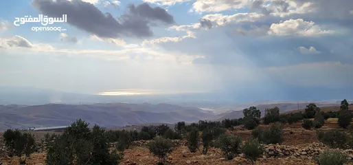  12 أرض مميزة مطلة على القدس  من أراضي غرب عمان للبيع