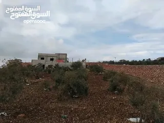  6 قطعة ارض مع بيت للبيع