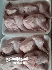  15 بيع السمان او الفري و لحم فري طازج و بيض فري