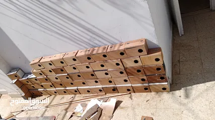 1 كواخ عصافير وكوكتيل بسعرر حرق يوجد كميات