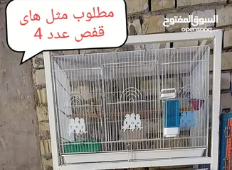  1 مطلوب خانات عدد 4 مثل الصورة