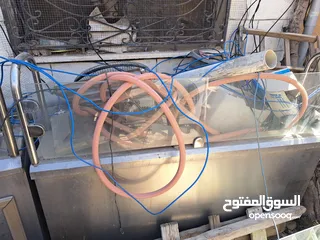  6 عده مطعم شعبي للبيع
