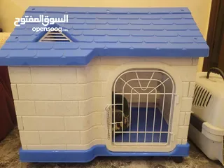  5 كوخ جديد حجم كبير واكسسوارات قطة بحالة الجديد للبيع المستعجل