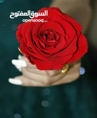 6 تصوير فيديو للحفلات