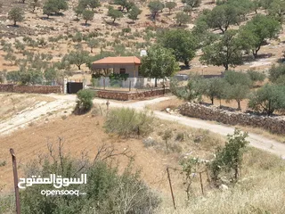  6 ارض زراعية على شارعين في صروت الصوان قرب الفلل و منتزه الامير هاشم قرب بيرين و شفا بدران بسعر مغري