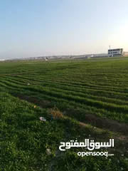  1 أرض 500 م للبيع في رجم الشامي (( الغدير )) بالقرب من شارع الميه