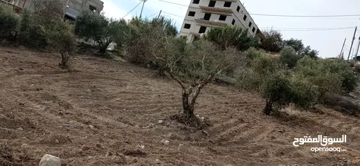  1 ارض صالحة للبناء
