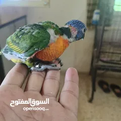  3 ماشاء الله لا قوة إلا بالله