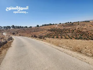  4 30 دنم جرش قفقفا طريق اربد عمان