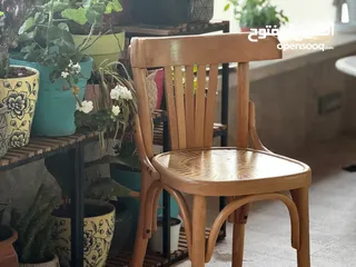  1 كرسي خشب شركة القيصر