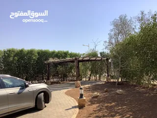  11 مزرعة في البحر الميت/ الشونه الجنوبية / السويمه / حوض جلد مميزة للبيع للجادين فقط