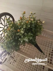  6 سلة خضروات مع علبتين صغار و مضيفة حلو بس