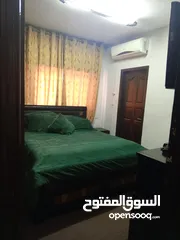  6 ش الكركفة اسكان الجامعة