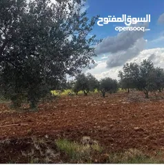  20 للبيع قطعة ارض منطقة نادرة / شرق جرش موقع مميز جدا وبسعر مغري