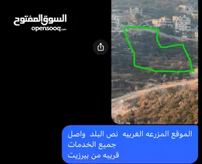  1 أرض للبيع المزرعه الغربيه